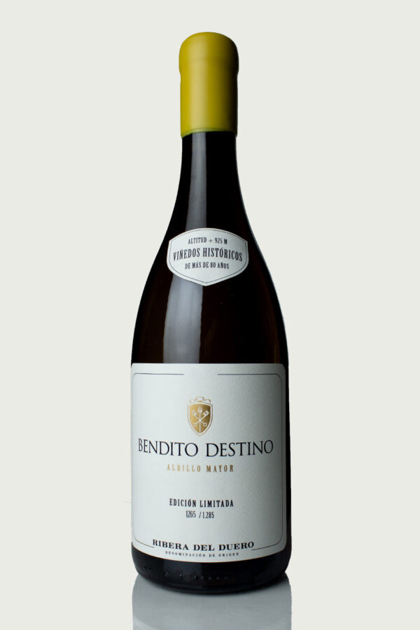 Bendito Destino | Albillo Mayor | 2023