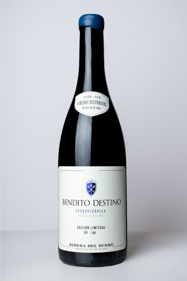 Bendito Destino | Fuentecebolla | 2021